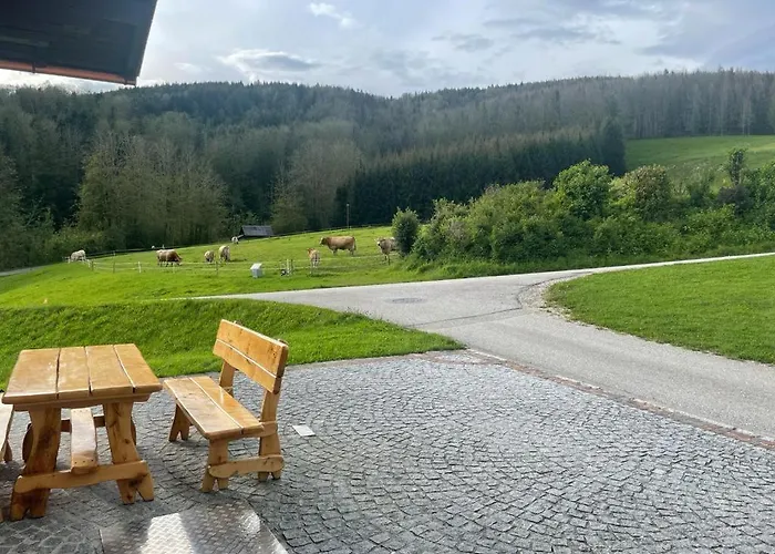 Ferienwohnung ,Hoizmann\'